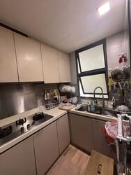 Blossom Residences (D23), Condominium #602188321